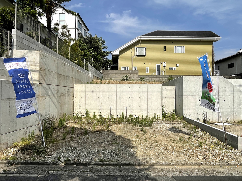 伏見区桃山町金森出雲画像